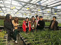 Students learn about the growth of plants in Dali (Photo credit: Kiko Cheung; Programme host: Fudan University)